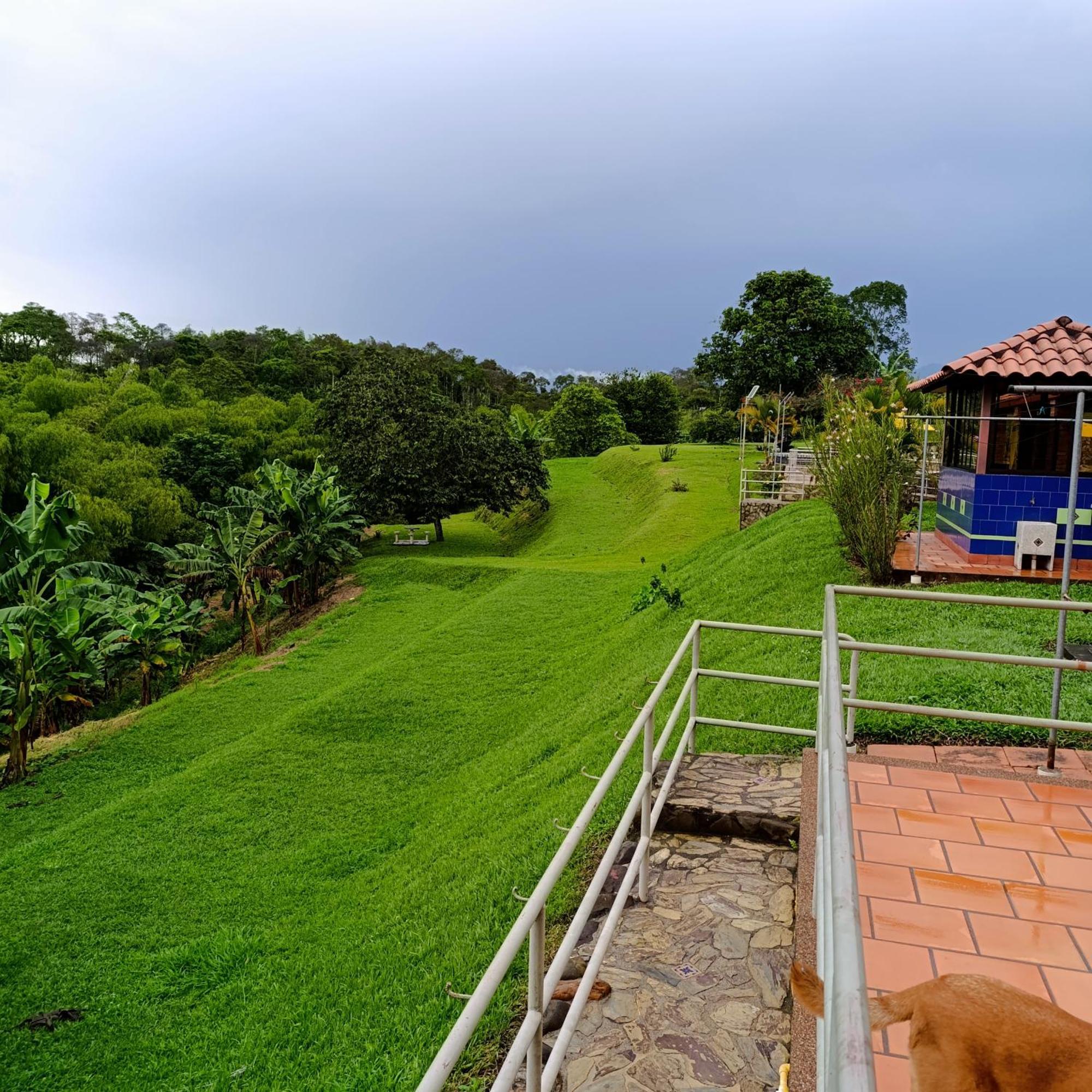 Campestre Mangos