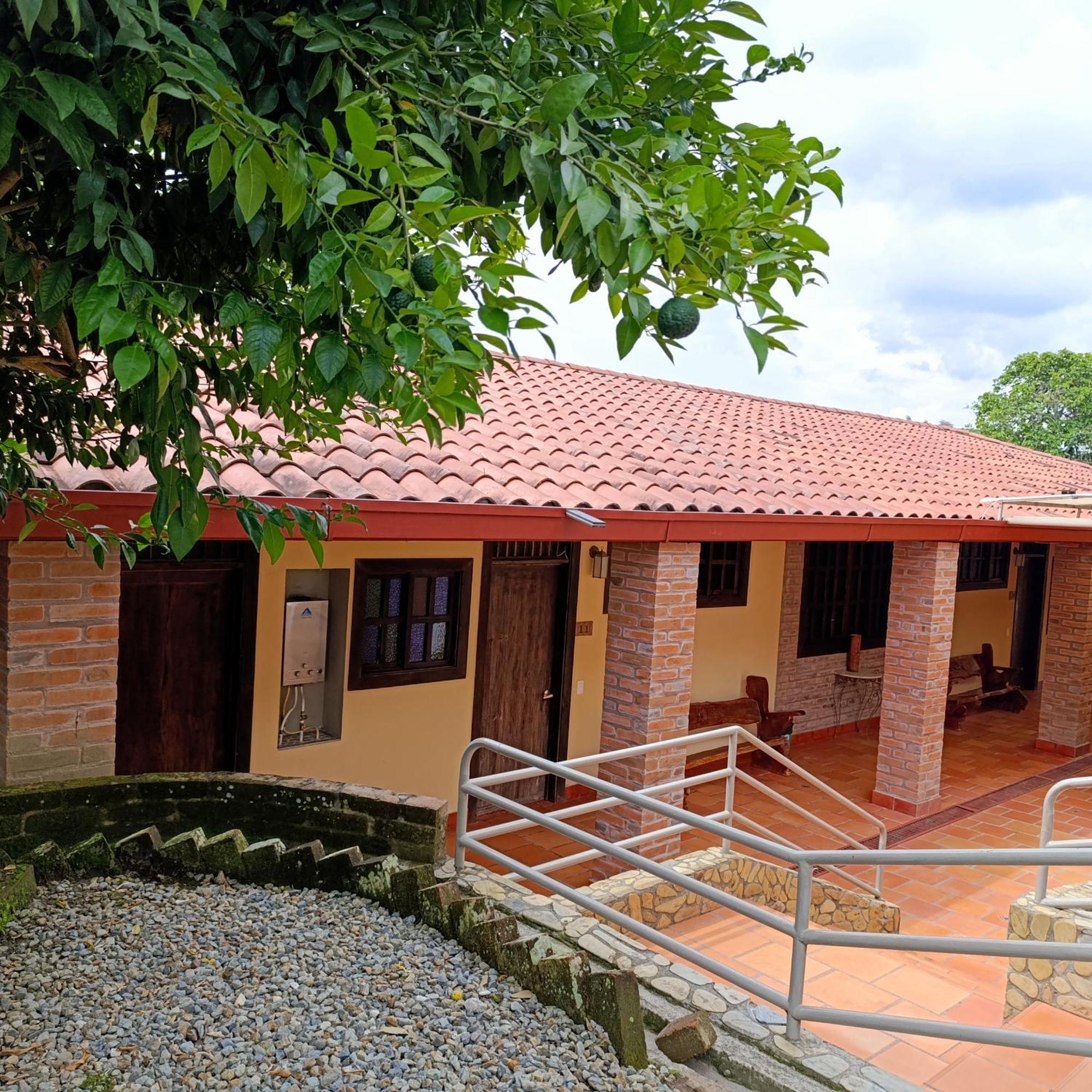 Campestre Mangos